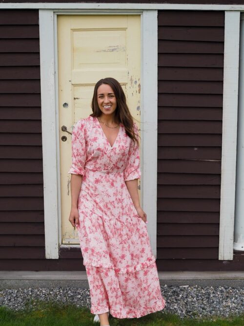 Shanaya V-M Dress Pink