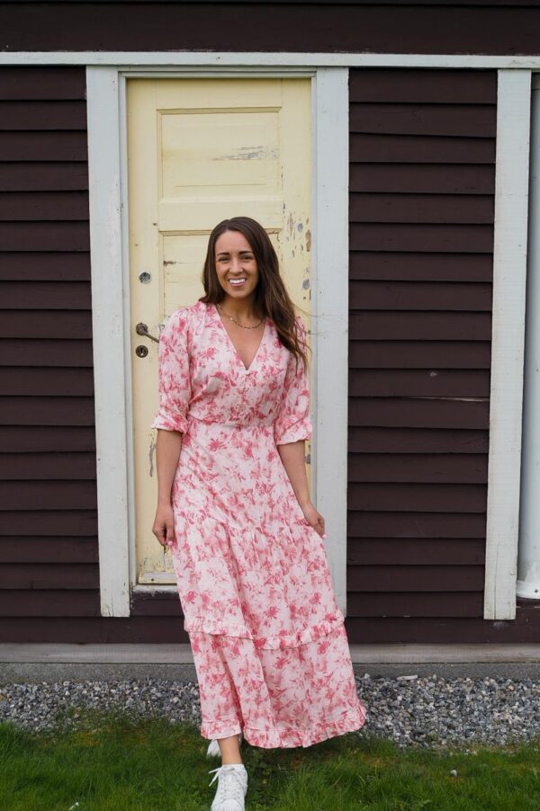 Shanaya V-M Dress Pink