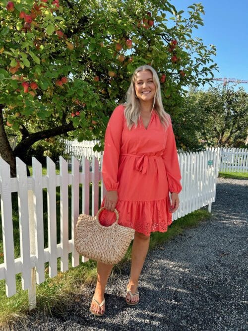 viKelli V-Neck L/S Short Dress Dubarry