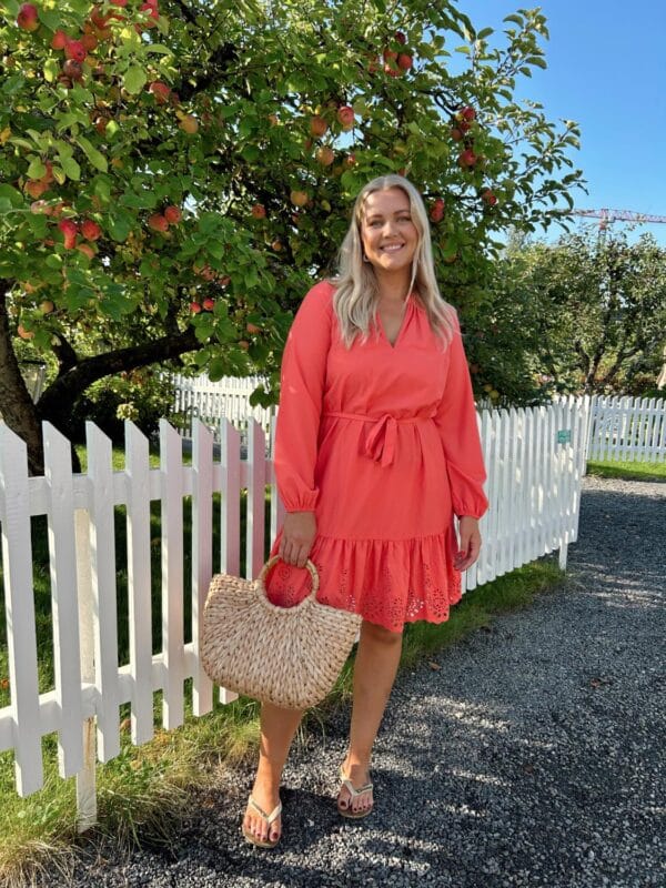 viKelli V-Neck L/S Short Dress Dubarry